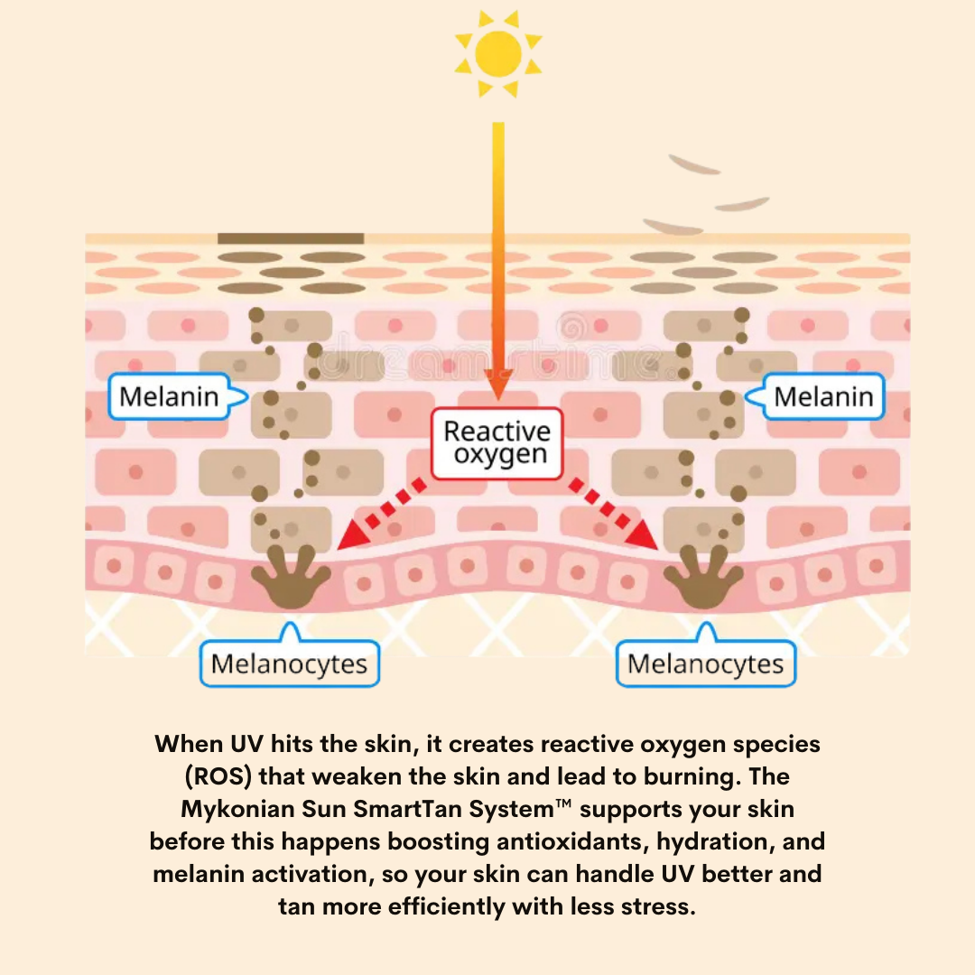 Smart Tan System™ – Prime, Boost & Defend - Complete bundle with Lotion, Oil & SPF 10