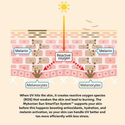 Smart Tan System™ – Prime, Boost & Defend - Complete bundle with Lotion, Oil & SPF 10